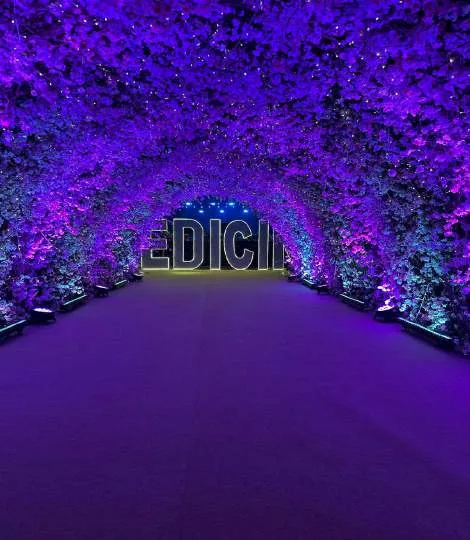 Decoração